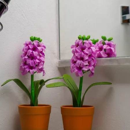 Casa de hóspedes Carmelina Tiny Village Vernazza