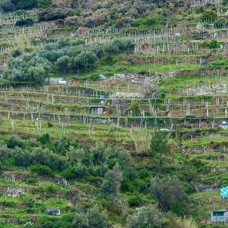 Carmelina Tiny Village 3*