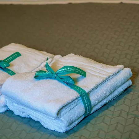 Gasthuis Carmelina Tiny Village Vernazza