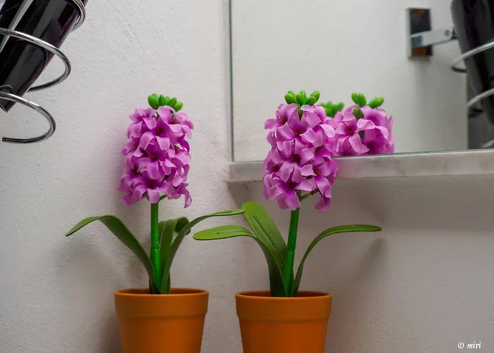 Gasthuis Carmelina Tiny Village Vernazza